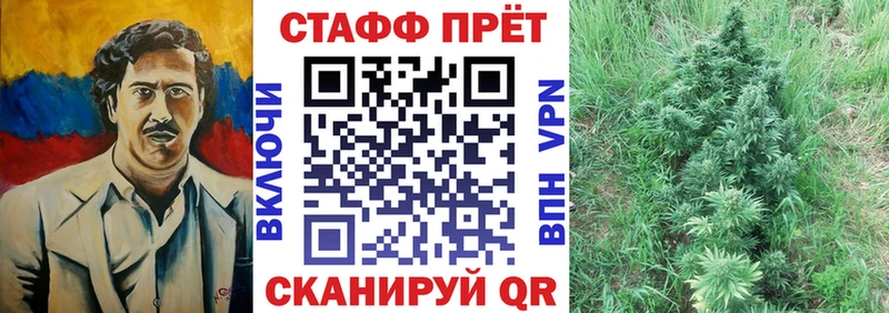 Купить закладку Бошки Шишки  Меф  Гашиш  Заречный