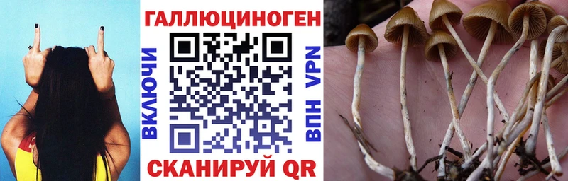 Купить закладки  Заречный  Псилоцибиновые грибы ЛСД 